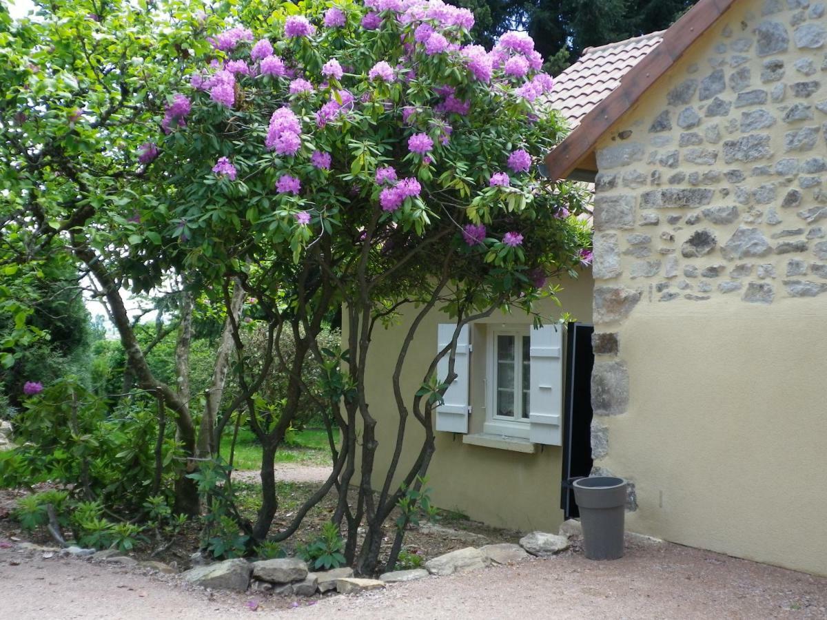 Le Cedre Enchante La Guiche Exterior photo