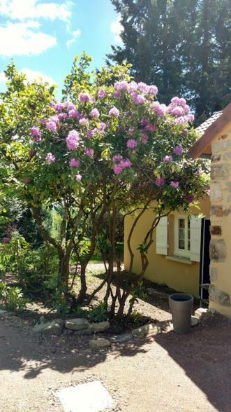 Le Cedre Enchante La Guiche Exterior photo